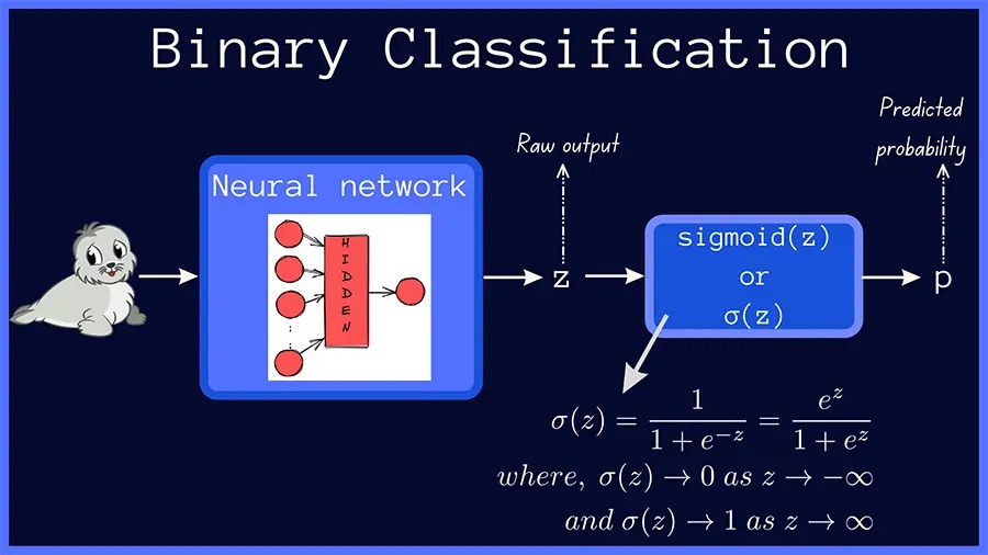 Binary Cross-Entropy Loss